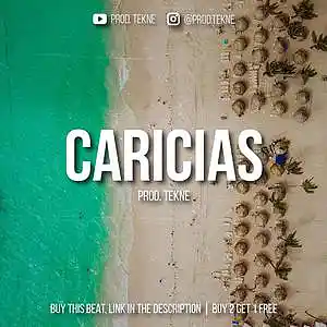 Picture for song 'Caricias' by artist 'valn.maker'