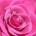 Picture for song 'The Plan (Live Recording)' by artist 'Rebecca Scott'