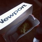 Picture for song 'SmokeinNewports-N-Weed.mp3' by artist 'RIVER CITY THUGZ'