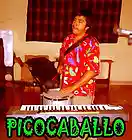 Picture for song 'Picocaballo: fiesta callejera' by artist 'Sello Suicida Recordings'