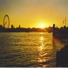 Picture for song 'Waterloo Sunset - Snowball Johnny' by artist 'Snowball Johnny'