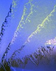 Picture for song 'Miss January Blue' by artist 'Sounds by Ramolly'