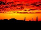 Picture for song 'Red Sky' by artist 'Swampman And The Machine'