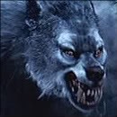 Picture for song 'Wolfman.MP3' by artist 'T Blue'