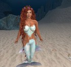 Picture for song 'Angelfish' by artist 'Terry Taylor'