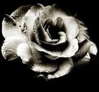 Picture for song 'dglover916_-_me_n_yhu.mp3' by artist 'Tike Beats'