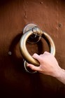 Picture for song 'Knocker' by artist 'T.Y.theProducer'