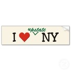 Picture for song 'Upstate_All_Day.mp3' by artist 'vreebeats'