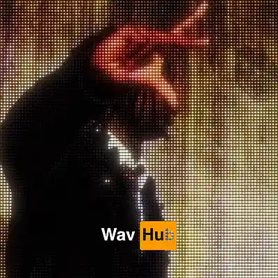 Picture for song 'Never Again (Nine Vicious x Sample)' by artist 'Wav Hub'