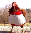 Picture for song 'MOSI-(DEMO KOLEJNE 2) 460285' by artist 'Winylfun'