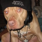 Picture for song 'BarstarZ - 2 hot 2 handle ft snoop' by artist 'Zwa'
