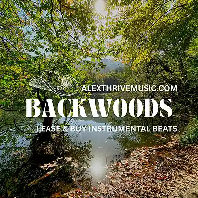 Picture for song 'Backwoods (Post Malone Country Type Beat)' by artist 'Alex Thrive Music'