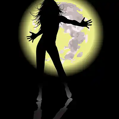 Picture for song 'Bolly-Hop' by artist 'Mellow Fellows Music'