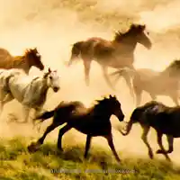 Picture for song 'kicking up dust' by artist 'MILTOWN MUSIC'