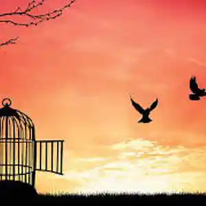 Picture for song 'Free Forever (Instrumental)' by artist 'My Shepherd King'