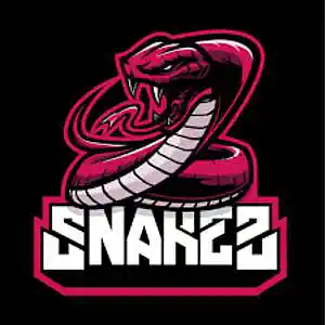 Picture for song 'SNAKES' by artist 'Pioneers'