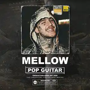 Picture for song 'Mellow Lil Peep x Eminem Type Beat 9432' by artist 'Production Shop'