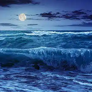 Picture for song '#315 Guitar Trap Beat "High Tide"' by artist 'Russell Wine Beats'