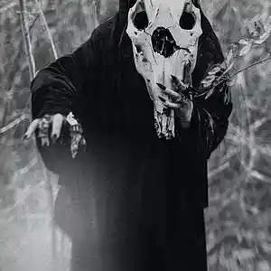 Picture for song 'Metro Boomin X WondagurlType Beat - "Voodoo" Hard' by artist 'youngfigaro'