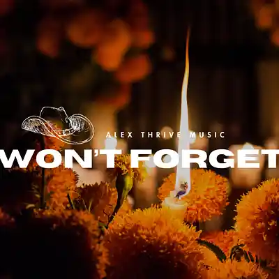 Picture for song 'Won't Forget (Emotional Piano Rap)' by artist 'Alex Thrive Music'