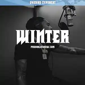 Picture for song 'Winter' by artist 'Brandnew Beats'