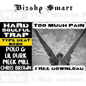 Picture for song 'Too Much Pain' by artist 'Bizshp Smart'