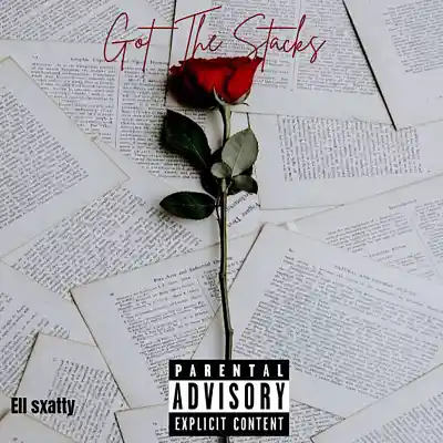 Picture for song 'Got the stacks' by artist 'Ell sxatty'