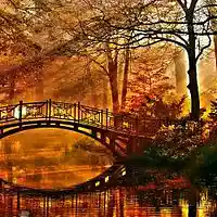 Picture for song 'Deep Floyd 491-Soft Tones' by artist 'Jammer59'