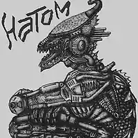 Picture for song 'What do you feel?' by artist 'NatoM'