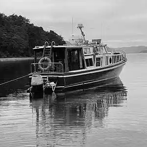 Picture for song 'Prod. @tomi_lago_ @_fafi777_ 172' by artist 'Tomas Lago'