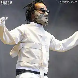 Picture for song 'Shadow (Buy 1 Get 1-3 FREE)' by artist 'V-Sine Beatz'