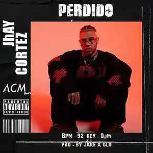 Picture for song 'Pedido' by artist 'acmbeat'