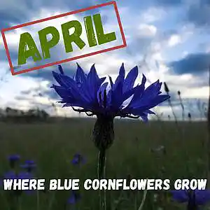 Picture for song 'I Watch The Stars' by artist 'April Songs'