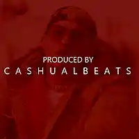 Picture for song 'TaxSeason (BPM 120) ' by artist 'Cashualbeats'