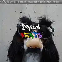 Picture for song 'Sup - Rap Beat (Buy 1 Get 1 FREE)' by artist 'Daily Beats'