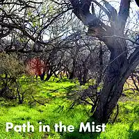 Picture for song 'Path in the Mist' by artist 'D E Farmer'