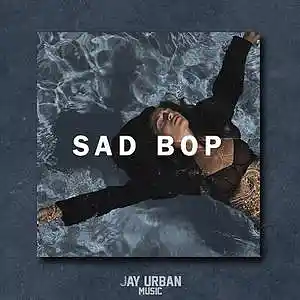 Picture for song 'Sad Bop (LoFi Hip Hop Type Beat)' by artist 'JayUrbanMusic'