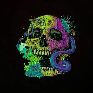 Picture for song 'GIZMO X NOTIONS X OmenXIII - Type Beat "Joy$moke"' by artist 'LYTARN'