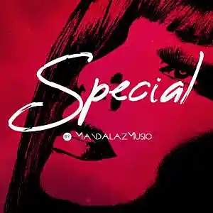 Picture for song 'Special' by artist 'MandalazMusic'