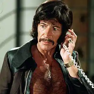 Picture for song 'Department S Theme' by artist 'Previous Signs of Decay'