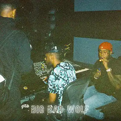Picture for song 'Big Bad Wolf - Southside x Metro Boomin Type Beat' by artist 'TommyLoops'