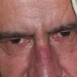 Picture for song 'LA MALDICION DE EINSTEIN ( DANIEL CANUETO )' by artist 'DANIEL CANUETO'