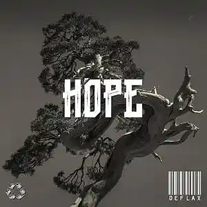 Picture for song 'HOPE' by artist 'DeFlax'