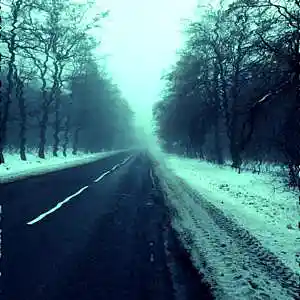 Song picture