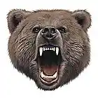 Picture for song 'Bag Of Bears' by artist 'JayCuz And Friends'