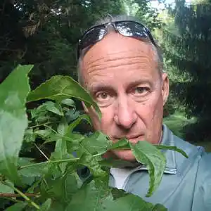 Picture for song 'In These Perilous Years' by artist 'Leonard Scaper'