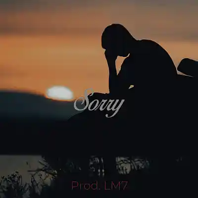 Picture for song 'Sorry' by artist 'LM7'