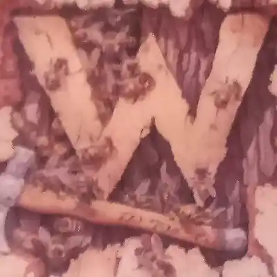 Picture for song 'Mendo Minority Re Up' by artist 'MENDO MINORITY'