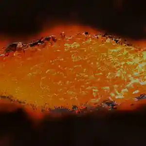 Picture for song 'DANCEHALL INSTRUMENTAL "HEAT"' by artist 'Misti Music'