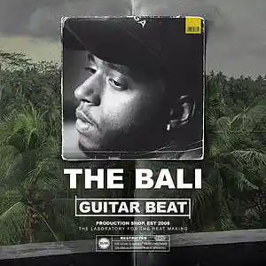 Picture for song 'THE BALI' by artist 'Music Hold Inc'